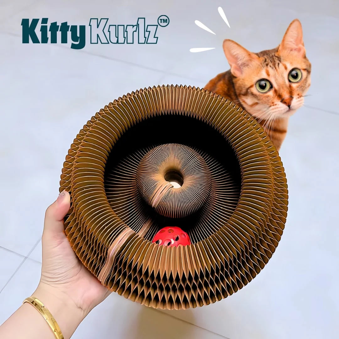 Pounzy Kurlz