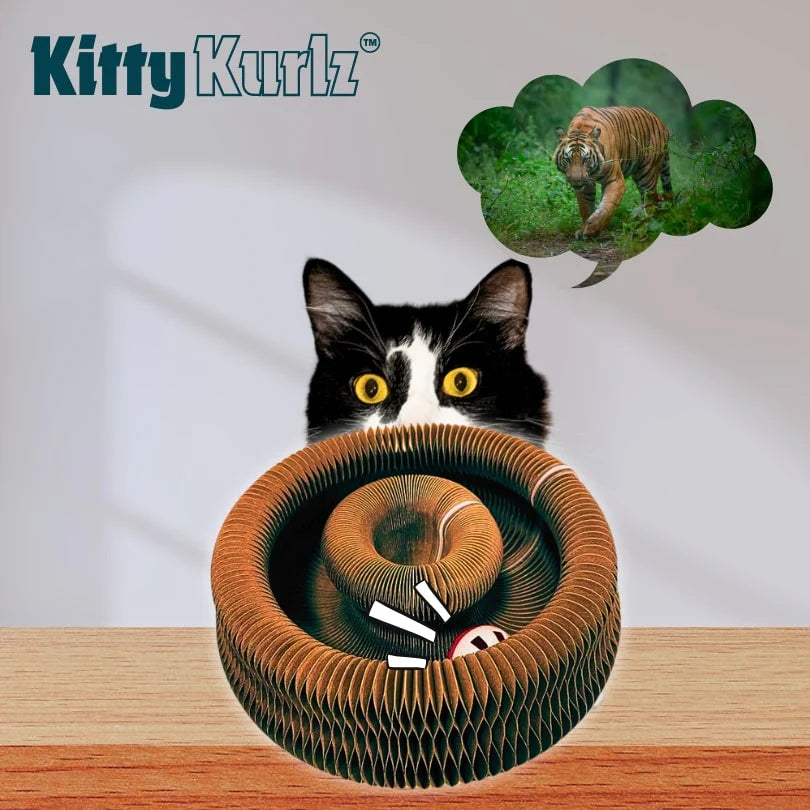 Pounzy Kurlz