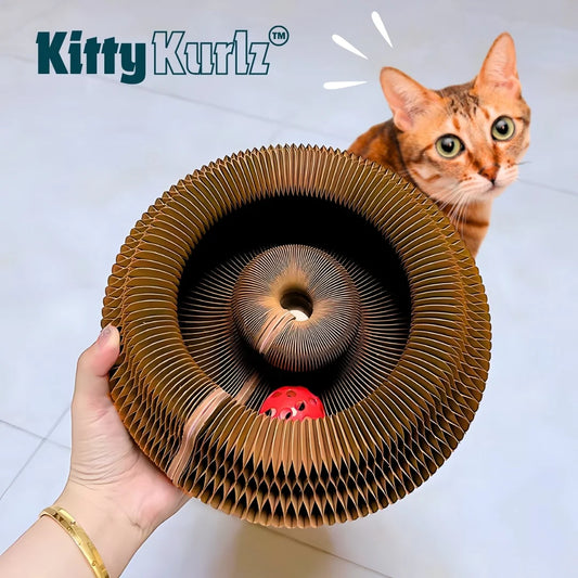Pounzy Kurlz